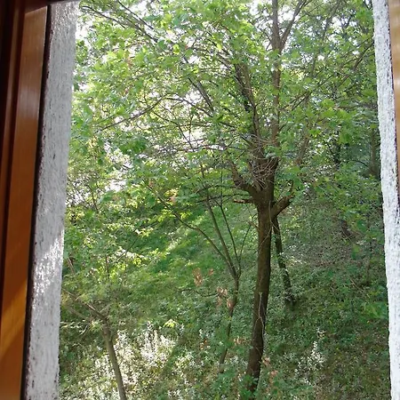 Al Lago C.r.b N18 Manerba D/g Hotel apartamentowy